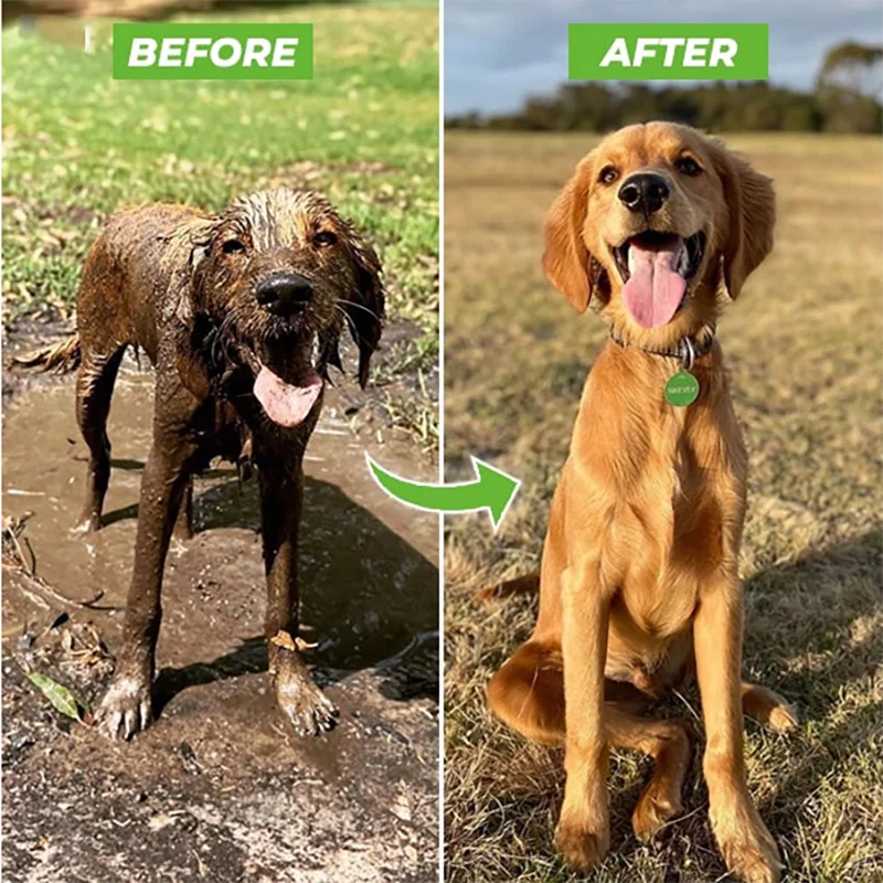 Where you can clean your car, and your dog, and make anything clean.
