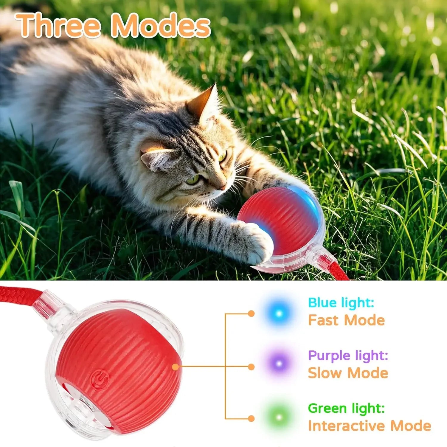 A fun toy, its a happy cat, no Need of supervision, where your cat can play alone.