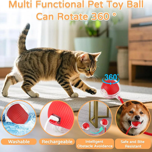A fun toy, its a happy cat, no Need of supervision, where your cat can play alone.